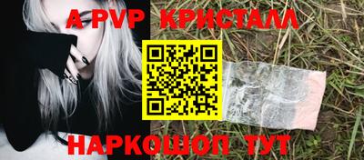 крисы Тула